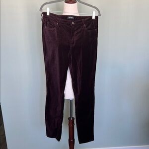 Well Worn - Burgundy High Rise Skinny Velvet Trousers